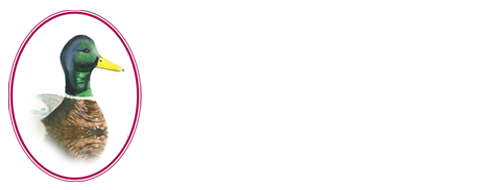 Mallard Insurance